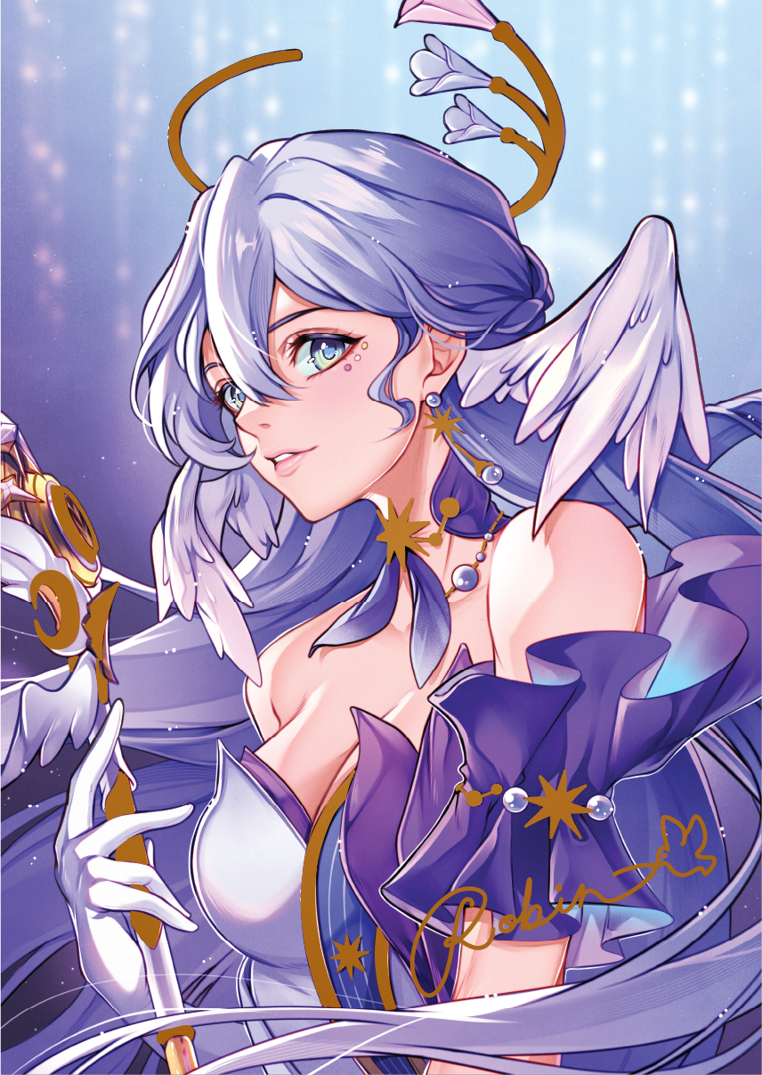 Robin Foil Print